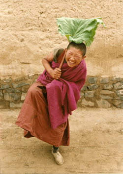 Joy and Rhubarb small