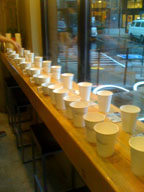 Coffee tasting at UCL