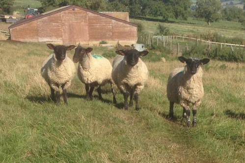Cotswold Way Maintenance Committee